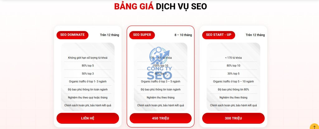 Các gói giải pháp dịch vụ seo tổng thể