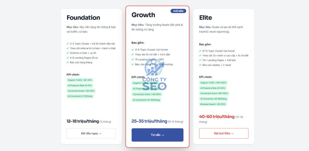Chi tiết các gói seo và lộ trình thích nghi Ai search engine