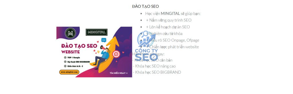 Chương trình đào tạo SEO thực chiến chuyên sâu cho doanh nghiệp và cá nhân
