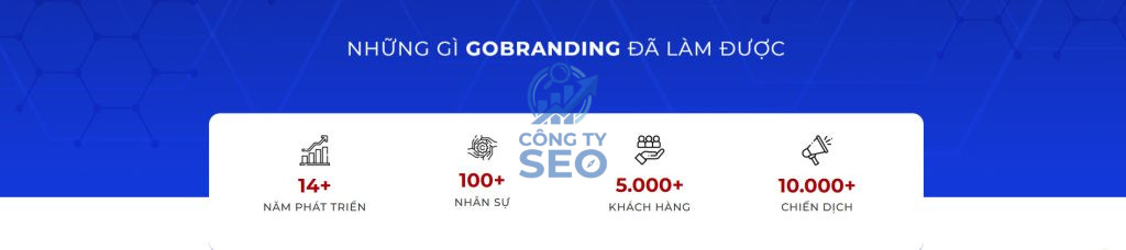 Đánh giá hệ sinh thái giải pháp và dịch vụ cung cấp của Gobranding