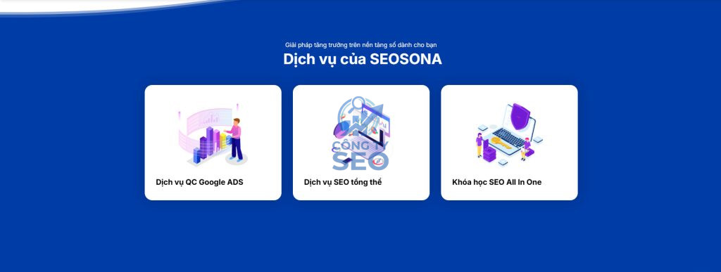 Đánh giá hệ sinh thái giải pháp và dịch vụ cung cấp của Seosona