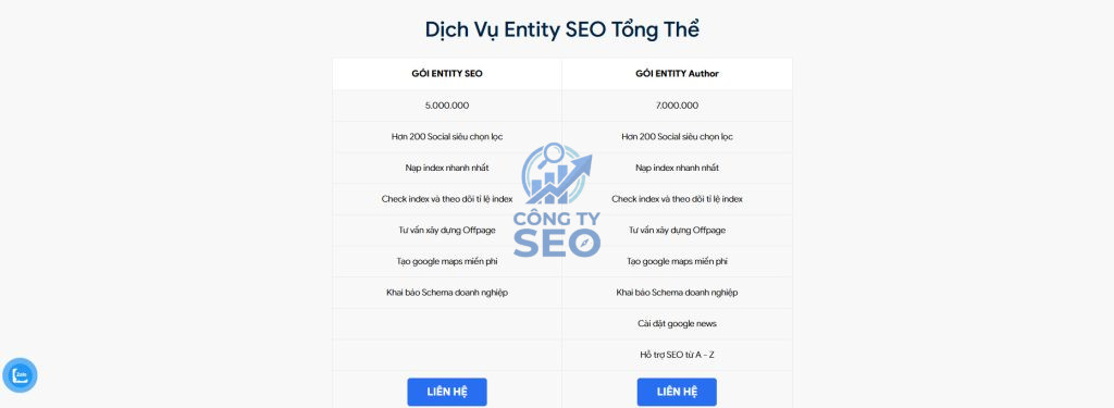 Dịch vụ Entity SEO tổng thể xây dựng thực thể doanh nghiệp