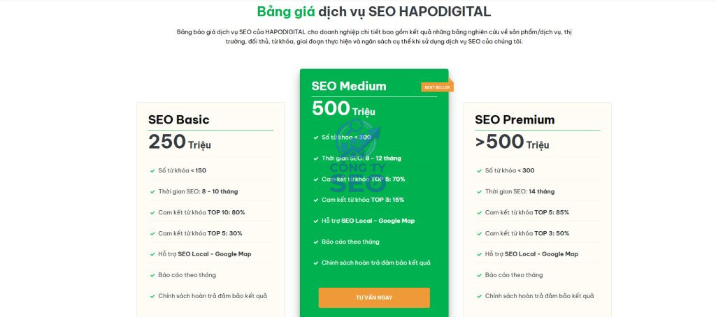 Dịch vụ SEO website tổng thể toàn diện