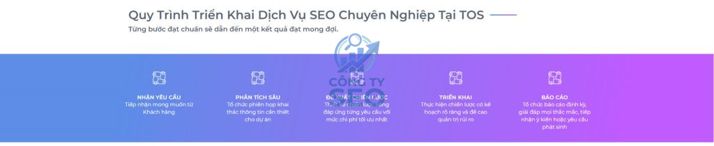 Dịch vụ audit website và báo cáo seo chuyên sâu