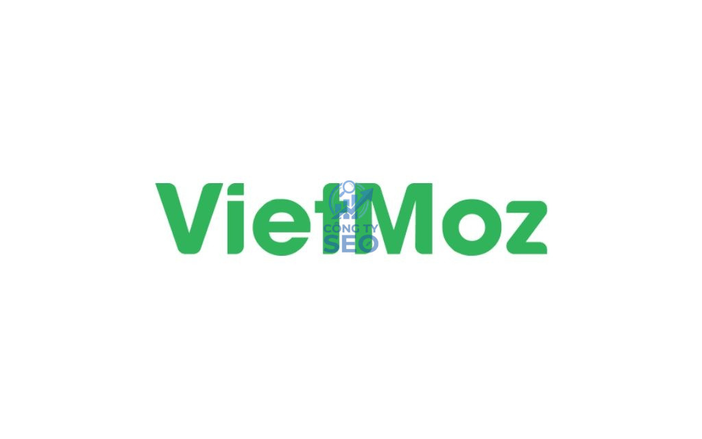 Review Agency VietMoz có uy tín không