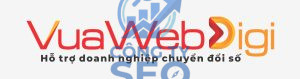 Review Agency Vua Web Digi có uy tín không