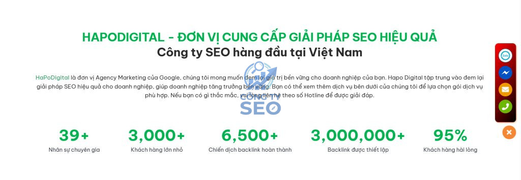 Tổng quan về hồ sơ năng lực và pháp lý của Hapodigital