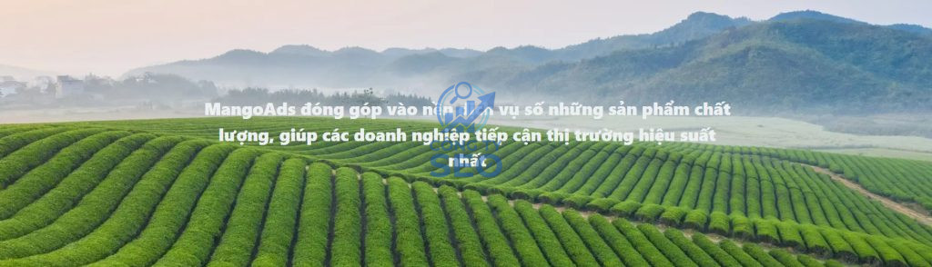 Tổng quan về hồ sơ năng lực và pháp lý của MangoAds