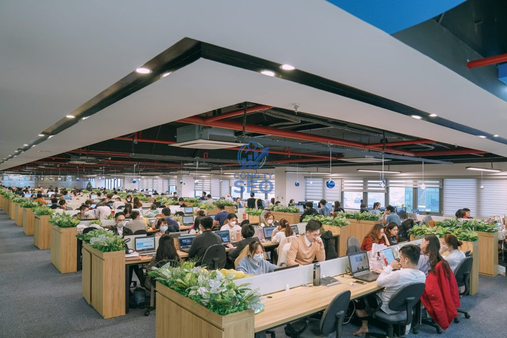 Tổng quan về hồ sơ năng lực và pháp lý của SEO Plus