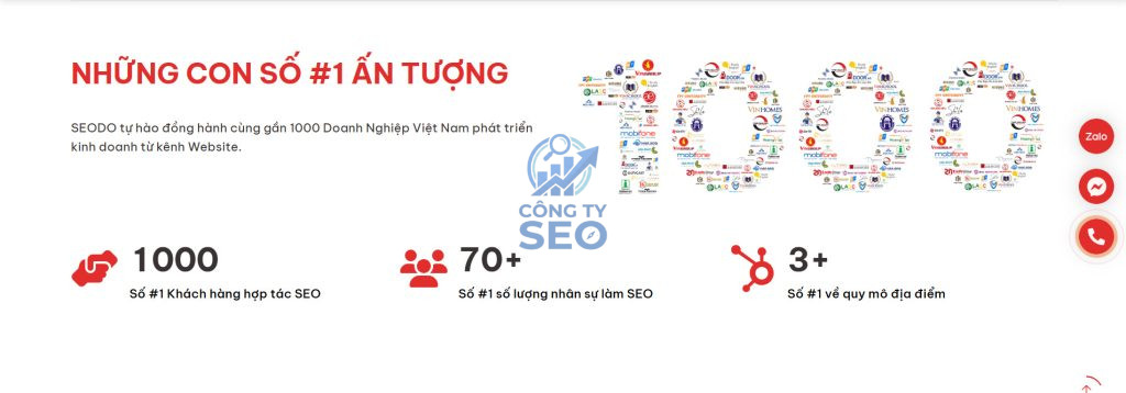Tổng quan về hồ sơ năng lực và pháp lý của SEODO