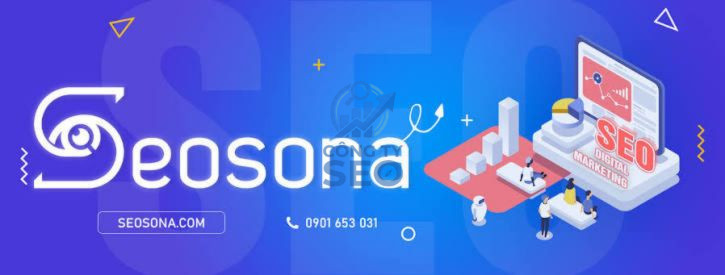 Tổng quan về hồ sơ năng lực và pháp lý của Seosona